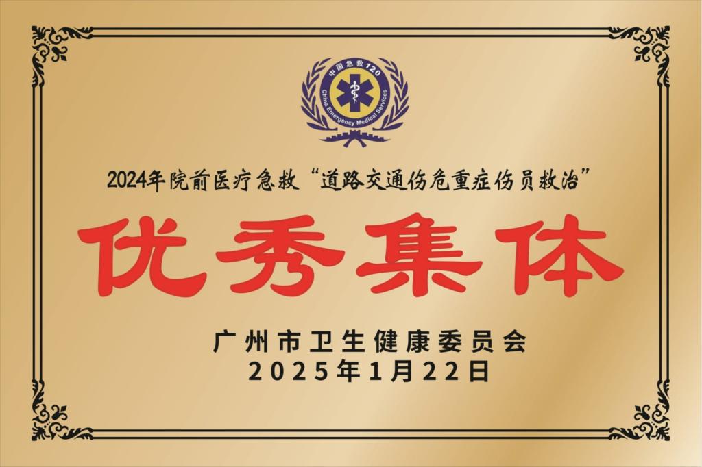 院前医疗急救道路交通伤危重症伤员救治优秀集体